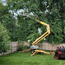 Best Lawn Seeding  in Jonesboro, GA