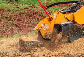 Best Organic Lawn Care Solutions  in Jonesboro, GA
